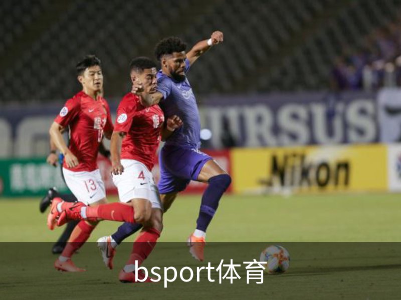 bsport体育介绍